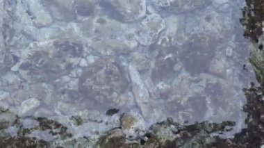 Su Altındaki Taşlar Titreşim Dalgaları Sahilde Kayalık Düz Arkaplan Doğa Şeffaf Deniz Suyu Kaya Sahili Doğa Video Duvar Kağıdı Pebble Plajı Sahil Taşları Şeffaf Kristal Su Taşları