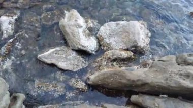 Su Altındaki Taşlar Titreşim Dalgaları Sahilde Kayalık Düz Arkaplan Doğa Şeffaf Deniz Suyu Kaya Sahili Doğa Video Duvar Kağıdı Pebble Plajı Sahil Taşları Şeffaf Kristal Su Taşları