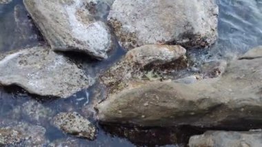 Su Altındaki Taşlar Titreşim Dalgaları Sahilde Kayalık Düz Arkaplan Doğa Şeffaf Deniz Suyu Kaya Sahili Doğa Video Duvar Kağıdı Pebble Plajı Sahil Taşları Şeffaf Kristal Su Taşları