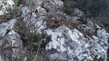 İtalya, Sant 'Andrea' da yol inşaatı sırasında oluşan kayalık duvar. Çimenleri çevreleyen kayalara kırmızı-turuncu eklentiler çalılık oluşumu kayaların dik dokusu renkli dağ yolu. 