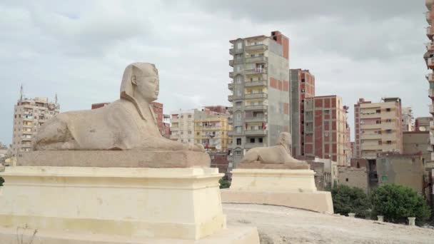 Alexandria Mesir Desember 2022 Pemandangan Penuh Dari Dua Sphinx Yang — Stok Video