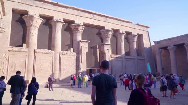 Edfu Egipto Dezembro 2022 Turistas Admirar Tirar Fotos Entrar Templo Videoclipe