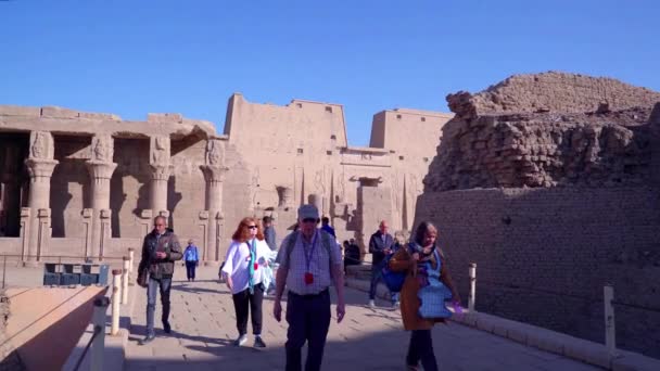Edfu Egypt 2022年12月 多莉英寸 观光客们步行欣赏着伊德福庙宇 庙宇的墙壁有不同的雕刻浮雕 — 图库视频影像
