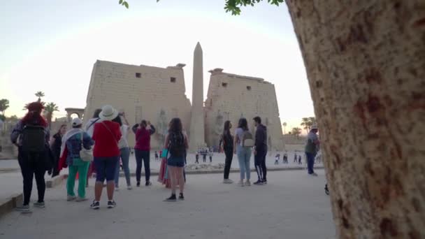 エジプトのルクソール 2022年12月 何だよ ルクソール神殿のパノラマビュー 観光客は場所を賞賛し 入り口まで歩いてください ファサードにはいくつかの古代の彫像やオベリスク — ストック動画