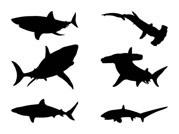 Immagine Shark Silhouette — Vettoriale Stock
