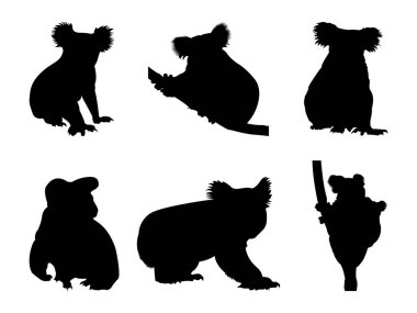 Koala Silueti Koleksiyonu. 