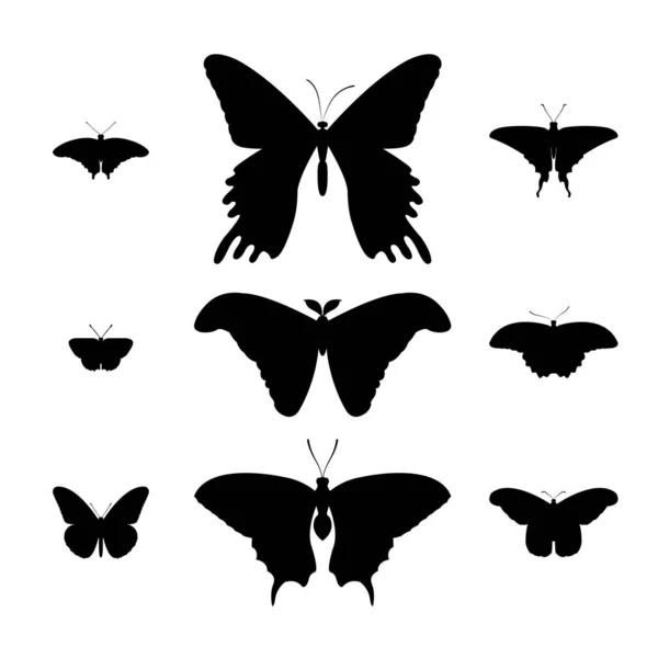 conjunto de siluetas de mariposa.