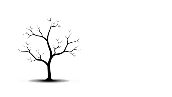 Bare Tree Silhouette Shadow Copy Space Белый Фон — стоковый вектор
