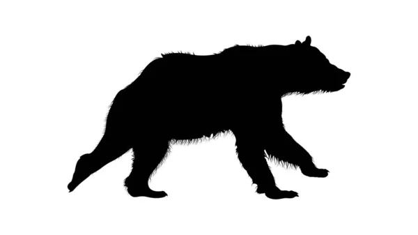 Σιλουέτα Αρκούδας — Διανυσματικό Αρχείο