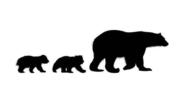 Bear Cub Silhouette Képe — Stock Vector