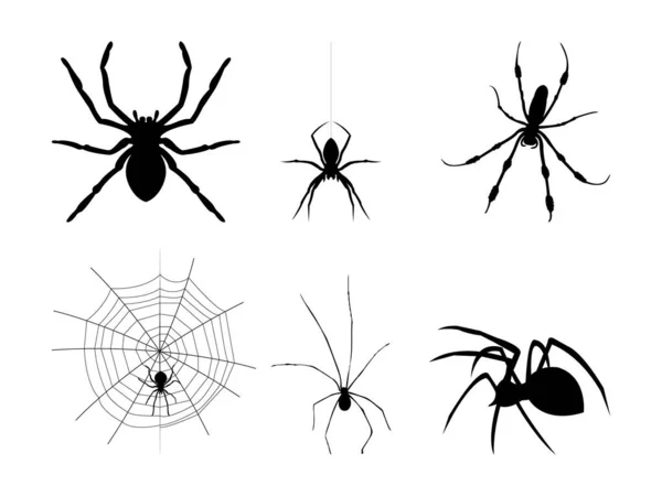 Collection Spider Silhouette — Stock Vector