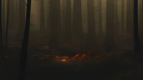 黑暗森林地板上的一线光明 — 图库照片