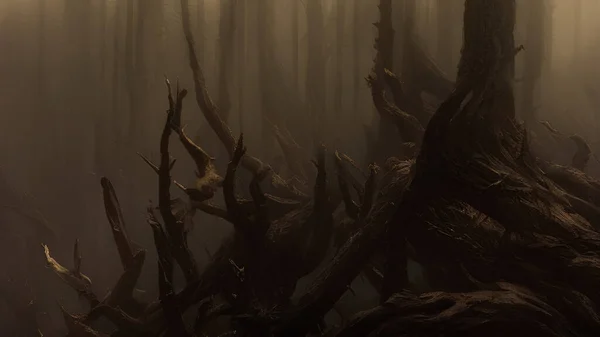 Сломанное Дерево Корни Туманном Лесу — стоковое фото