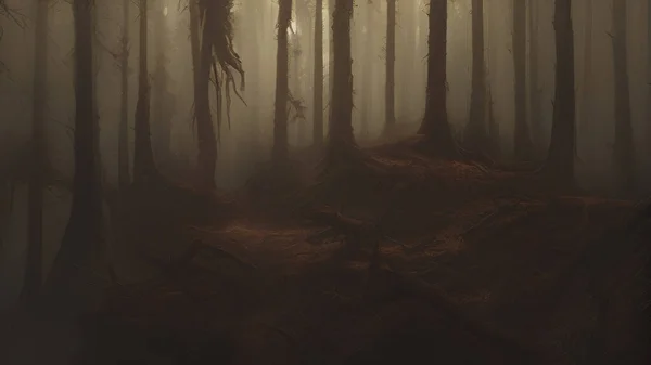 霧の森の乾燥葉と松の木の根の山 — ストック写真