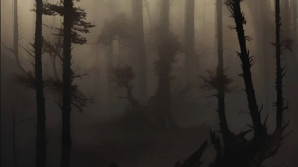 Starý Strom Malým Listím Uprostřed Mlhavého Lesa — Stock fotografie
