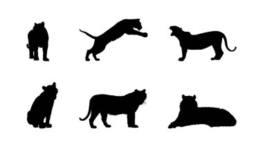 Basit Kara Kaplan Silüet Vektörü.