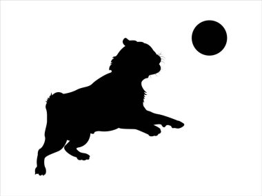 Silhouette of a Pug Dog Jumping to Try to Catch A Ball. clipart