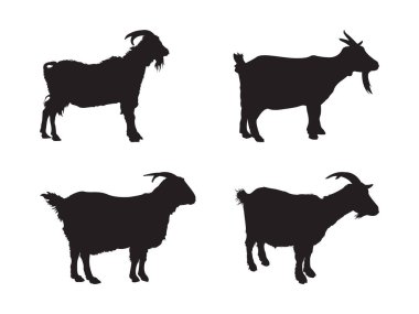 Close up silhouettes of four goats on white background, suitable for farm brochures, animalthemed designs, or educational materials. clipart