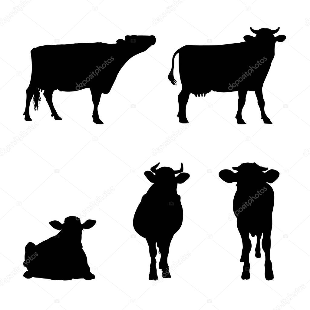Set of Cow Silhouettes in Different Poses.