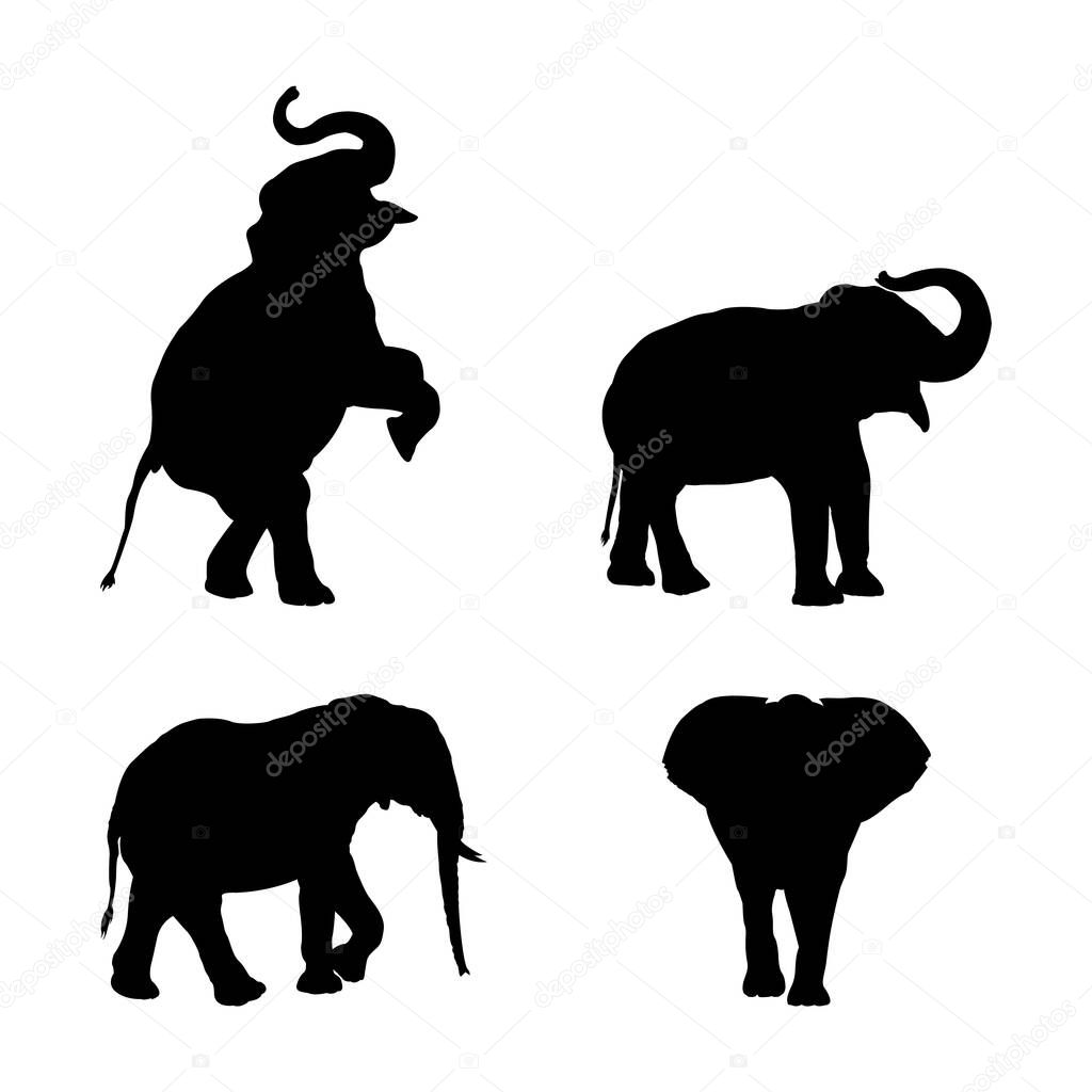 Set of Black Elephant Silhouettes in Different Poses.