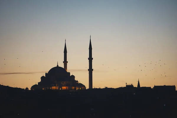 Τζαμί Στην Κωνσταντινούπολη Στο Ηλιοβασίλεμα — Φωτογραφία Αρχείου