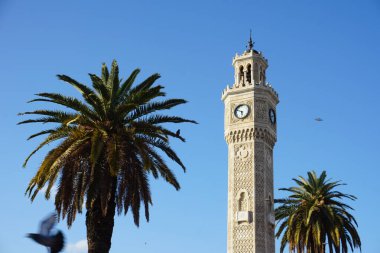 Gün batımında İzmir saat kulesinin etrafında uçan kuşlar - güvercin hareket halinde.