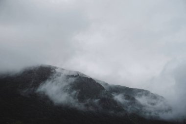 Norveç 'te dağın tepesindeki bulutlar - sislerin içindeki karanlık orman