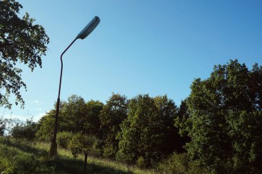 Doğada yalnız lamba - post tapokaliptik şehir - arka planda yeşil orman