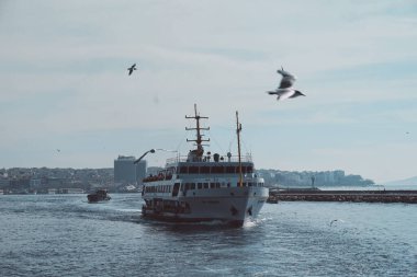 İstanbul 'da İstanbul Boğazı' nda feribot ve arka planda da şehir - martılar uçuşuyor