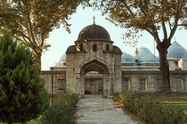 İstanbul 'daki (Türkiye) Süleyman Camii' ne giriş - sonbahar bahçesi - günbatımında sarı ağaçlar - İslam dini