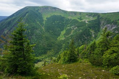 Çek Cumhuriyeti 'nin (Krkonose) dağlarındaki ağaçlar ve bulutlarla nefes kesici manzara - yukarıdan görünüyor