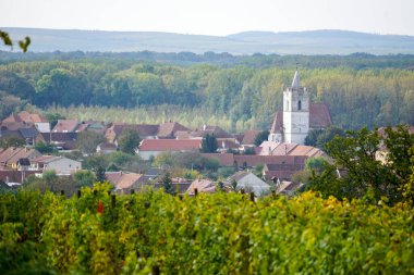 Tepenin tepesinden arka planda kilise ve köy olan bir üzüm bağına bakın (Moravya, Çek Cumhuriyeti, Avrupa)