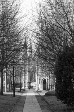 Black and white view of a cathedral framed by winter trees along a stone path clipart