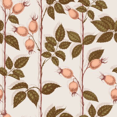 Yaban gülü çiçekleri çiziyor ve noktalama işareti çiziyor. Gül ağacı meyveleri ve yapraklarıyla eski bir dal deseni