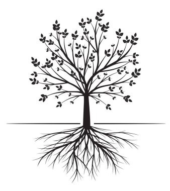 Shape of Spring Tree with Leaves. Vector outline Illustration. Plant in Garden.