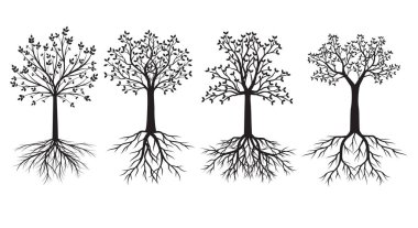 Set of Trees with Leaves amd Roots. Vector outline Illustration. Plant in Garden.
