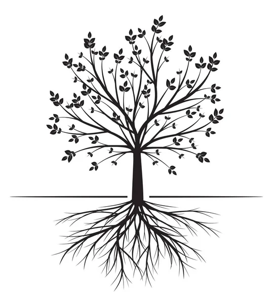 Shape of Spring Tree with Leaves. Vector outline Illustration. Plant in Garden.