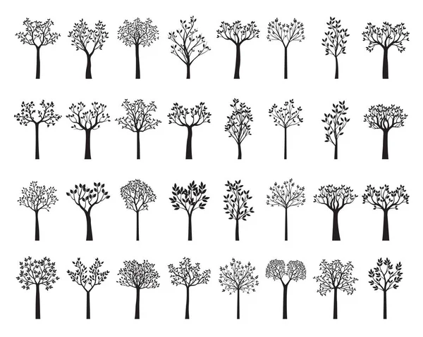 Set Green Trees. Vector outline Illustration. Plant and Garden.