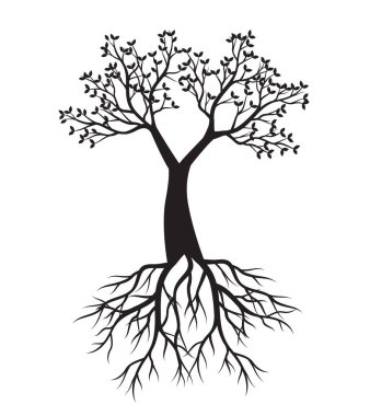 Shape of Spring Tree with Leaves and Roots. Vector outline Illustration. Plant in Garden.