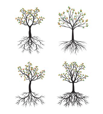 Set of Autumn Tree with Roots. Vector outline Illustration. Plant in Garden.