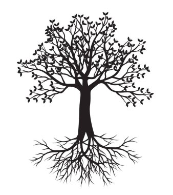 Shape of Spring Tree with Leaves and Roots. Vector outline Illustration. Plant in Garden.