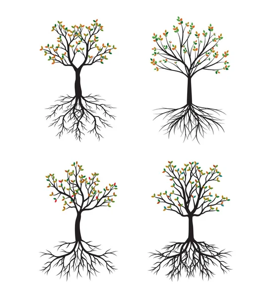 Set of Autumn Tree with Roots. Vector outline Illustration. Plant in Garden.