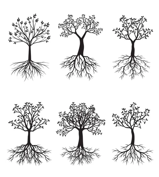 Set Spring Tree with Leaves and Roots. Vector outline Illustration. Plant in Garden.