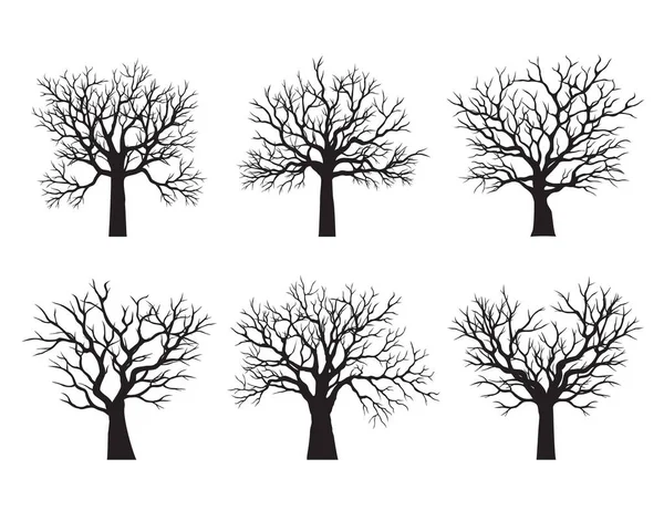 Set Old Black Trees Leaves Vector Outline Illustration Plant Garden — Stock Vector