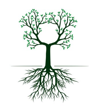 Yaprakları ve kökleri olan yeşil ağaç şekli. Vektör taslağı çizimi. Bahçede Bitki.