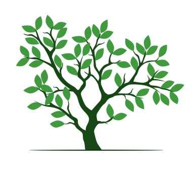 Shape of Green Tree with Leaves. Vector outline Illustration. Plant in Garden.