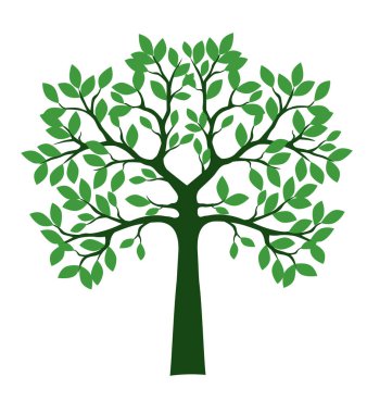 Shape of Green Tree with Leaves. Vector outline Illustration. Plant in Garden.