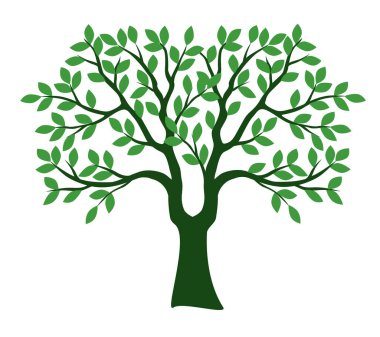 Shape of Green Tree with Leaves. Vector outline Illustration. Plant in Garden.