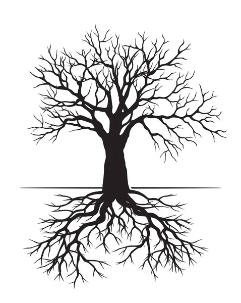 Black Tree Roots Vector Outline Illustration — стоковый вектор