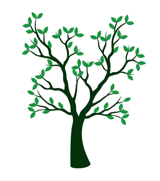 Shape Green Tree Leaves Vector Outline Illustration Plant Garden — 스톡 벡터